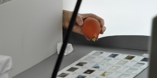 Workshop „Back to the Future! Im Karussell der Diakonservierung“