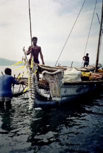 Mit Kula-Zeremonialgaben geschmücktes Boot. Dobu, Papua-Neuguinea, Südpazifik. Foto: Susanne Kühling, 1993.
