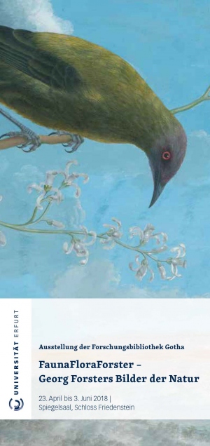 Ausstellung: „FaunaFloraForster – Georg Forsters Bilder der Natur“