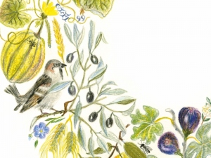 Ausstellung „Ferne Lebenswelten? Pflanzen und Tiere der Bibel“