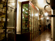 Zoologische Sammlung und Museum für Haustierkunde „Julius Kühn”  in Halle öffnen ihre Türen