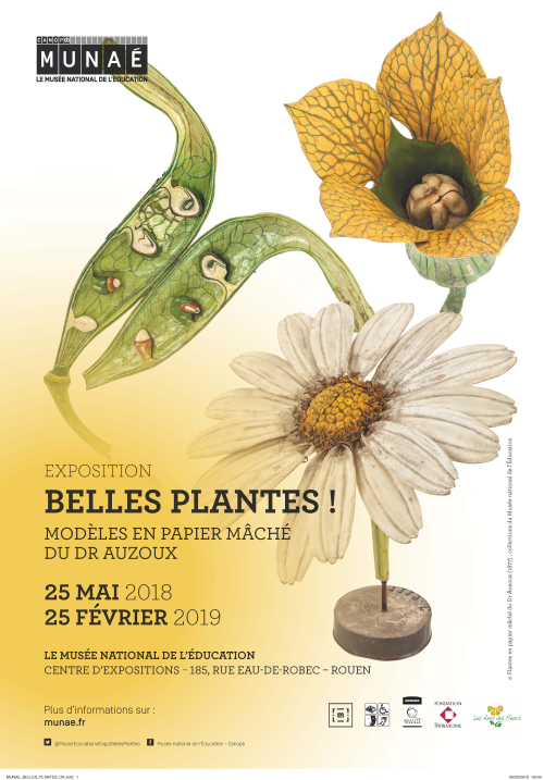 Exhibition „Nice plants! Dr. Auzoux’s papier-mâché models“