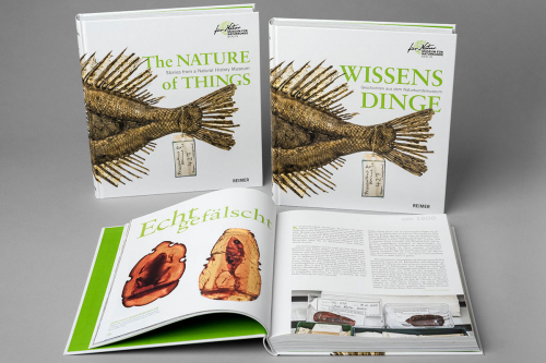 Wissensdinge. Geschichten aus dem Naturkundemuseum (erweiterte Neuauflage)