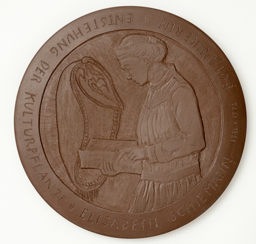 Almuth Lohmann-Zell, Elisabeth Schiemann (Botanikerin und Agrarwissenschaftlerin), 2017, Humboldt-Universität zu Berlin, Inv. A 190 Foto: Humboldt Universität zu Berlin - Kustodie / Antonia Weiße
