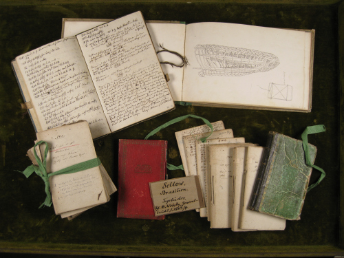 Historische Dokumente aus dem Archiv des Museums für Naturkunde (MfN, HBSB, ZM B XV/00229).