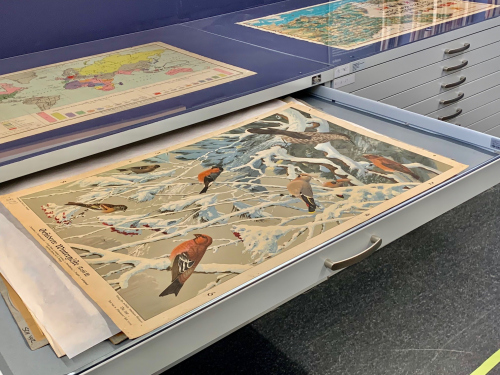 Foto: Sammlung Forschungsstelle Historische Bildmedien Universität Würzburg