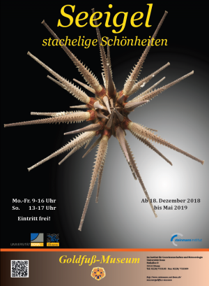 Sonderausstellung „Seeigel - Stachelige Schönheiten“