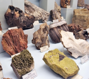 Ringvorlesung „Sammeln. Geschichte und Gegenwart einer alltäglichen, musealen und wissenschaftlichen Praxis