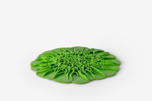 3D Druck Biofilm des Bakteriums Escherichia coli / Foto: Christoph Weber