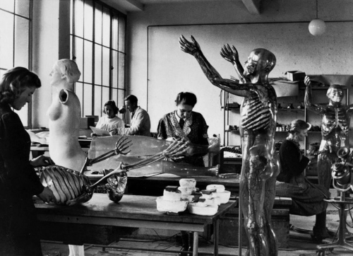 Werkstatt Gläserne Figuren, ca. 1950, Deutsches Hygiene-Museum