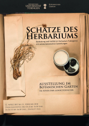 Sonderausstellung „Schätze des Herbariums“