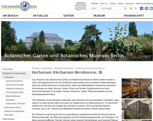 Die größten Herbarien Deutschlands sind Universitätssammlungen