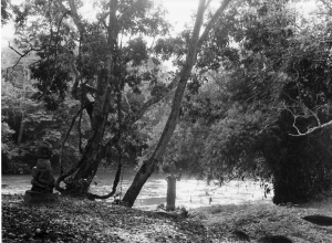 Blick auf den Fluss Oshun im Heiligen Hain der gleichnamigen Gottheit, Oshogbo, mit Skulpturen von Buraimoh Gbadamosi (li) und Saka (re), um das Jahr 1960.
Foto: DEVA / Iwalewahaus.