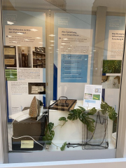 Ausstellung: 40 Jahre Herbarium der Universität Oldenburg