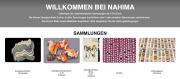 Naturwissenschaftliche Sammlungen der ETH Zürich online