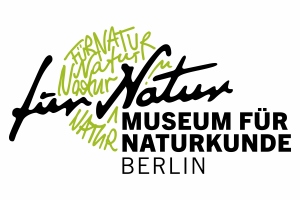 Vortrag und Podiumsdiskussion zum Thema „Rio, Notre-Dame – what's next? Kulturgüterschutz als globale Aufgabe“