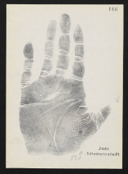 Sonderausstellung „In Fleischhackers Händen. Tübinger Rassenforscher in Łódź 1940–1942”