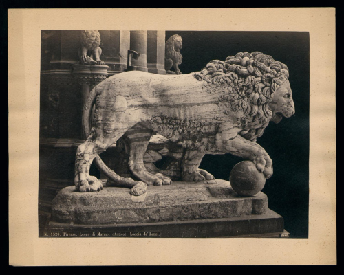 Marmorlöwe an der Piazza della Signoria in Florenz – eine von rund 15.000 Abbildungen aus der Sammlung von Jacob Burckhardt, die nun online sind.