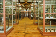 Nationales Kulturgut: Meckelsche Sammlungen der Uni Halle stehen unter staatlichem Schutz