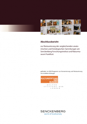 Abschlussbericht zur Restaurierung der vergleichenden anatomischen und histologischen Sammlungen am Senckenberg Forschungsinstitut und Naturmuseum Frankfurt