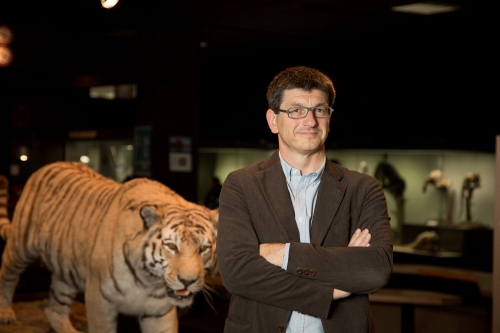 Professor Dr. Matthias Glaubrecht ist wissenschaftlicher Direktor des neuen Centrums für Naturkunde. Foto: UHH/Sukhina